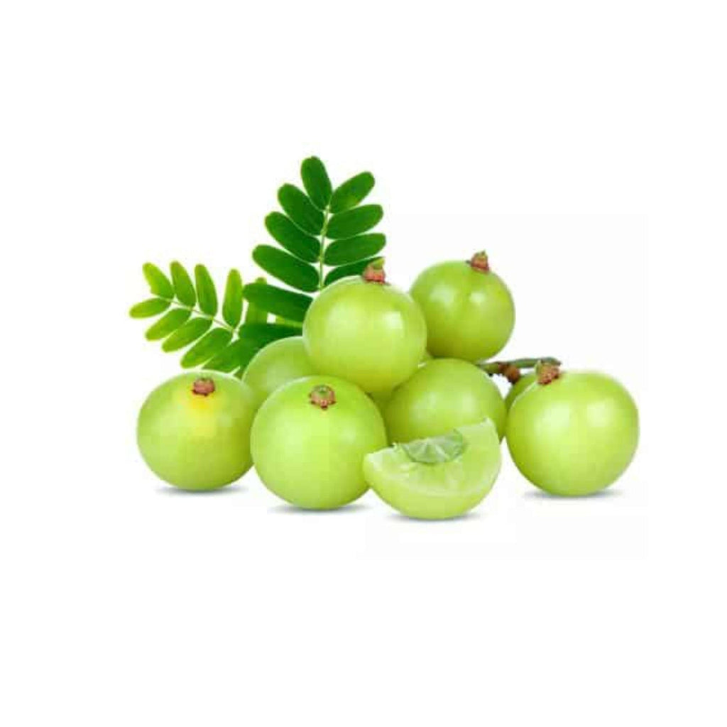 Amla (Amalaki) | Indian Gooseberry – Sattvic Health Store