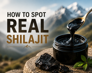 How to Spot Real Shilajit (The 5 Tests Every Buyer Should Know)