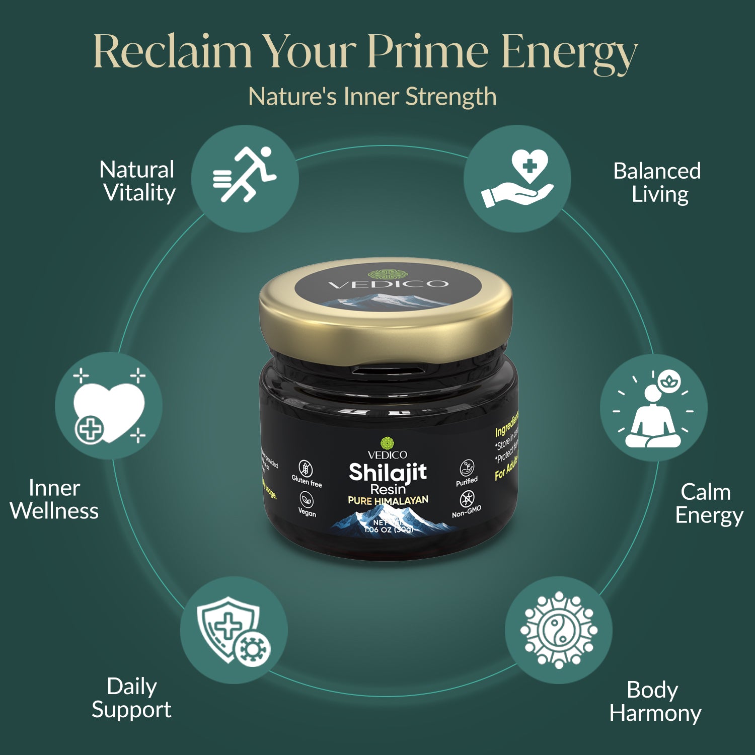 Himalayan Shilajit Resin | Natural Energy & Vitality Support