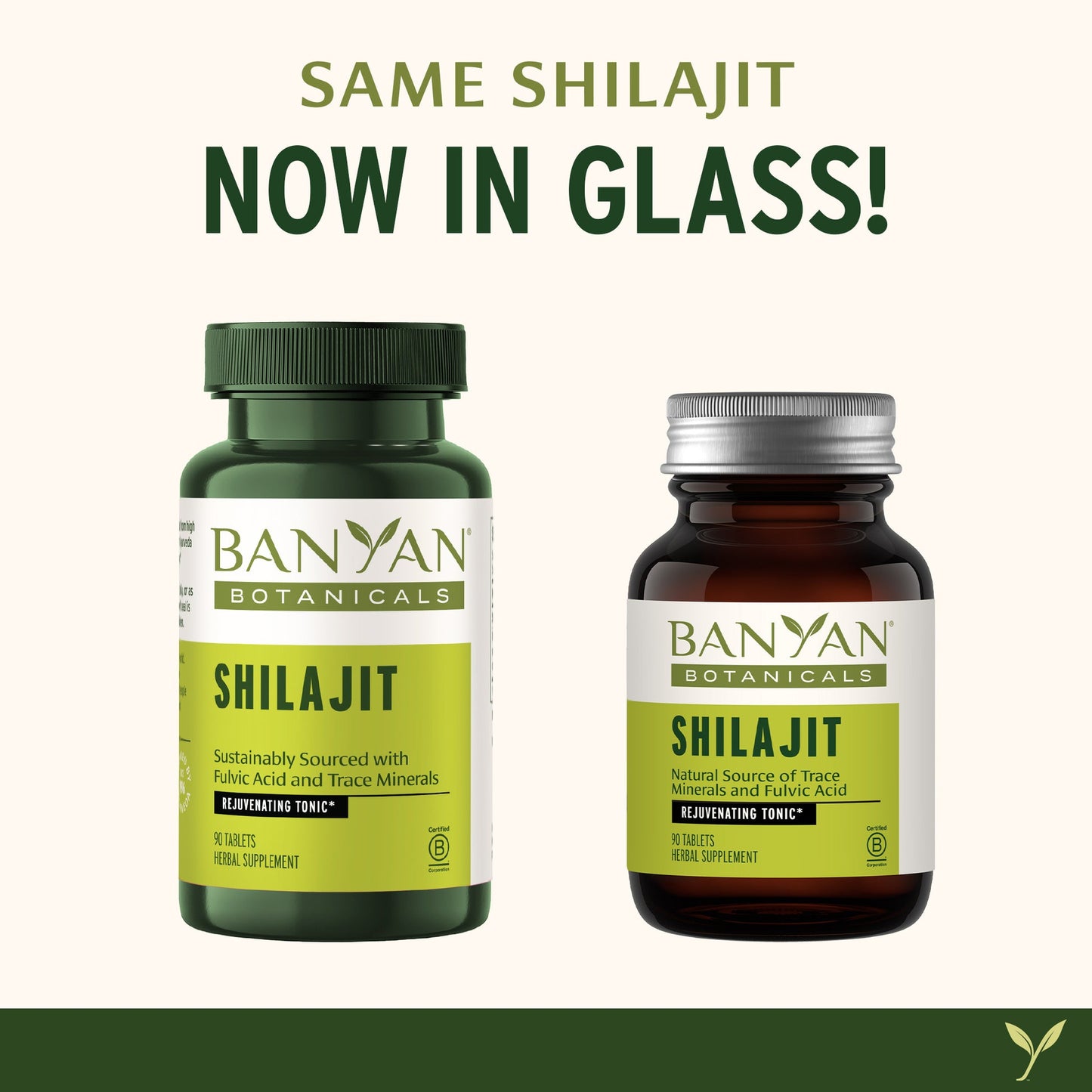 shilajit tablets | certified organic