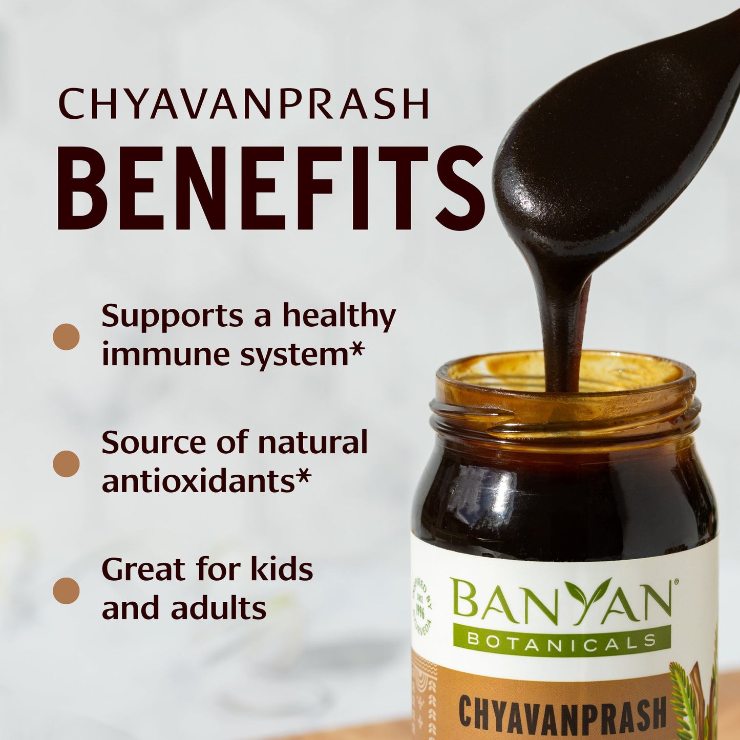 banyan botanicals | chyavanprash | certified organic | 266gm