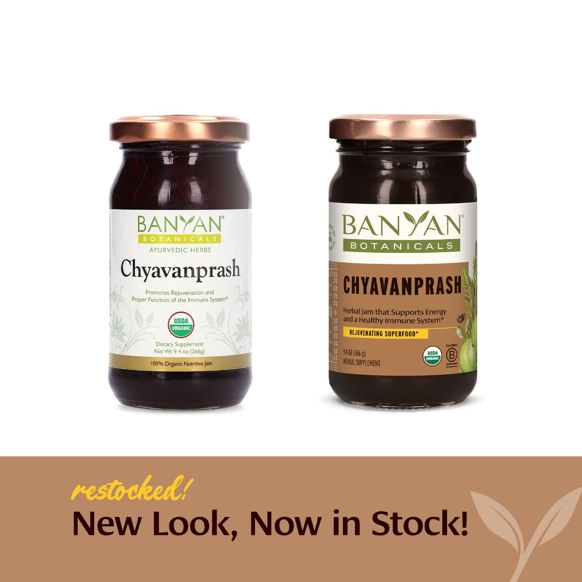 banyan botanicals | chyavanprash | certified organic | 266gm