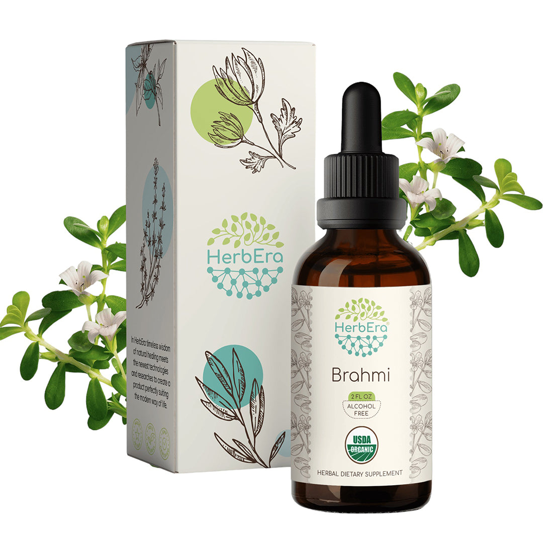 HerbEra | Brahmi (Bacopa Monnieri) Herbal Extract Tincture | Organic | Alcohol-FREE | 60ml | Made in USA