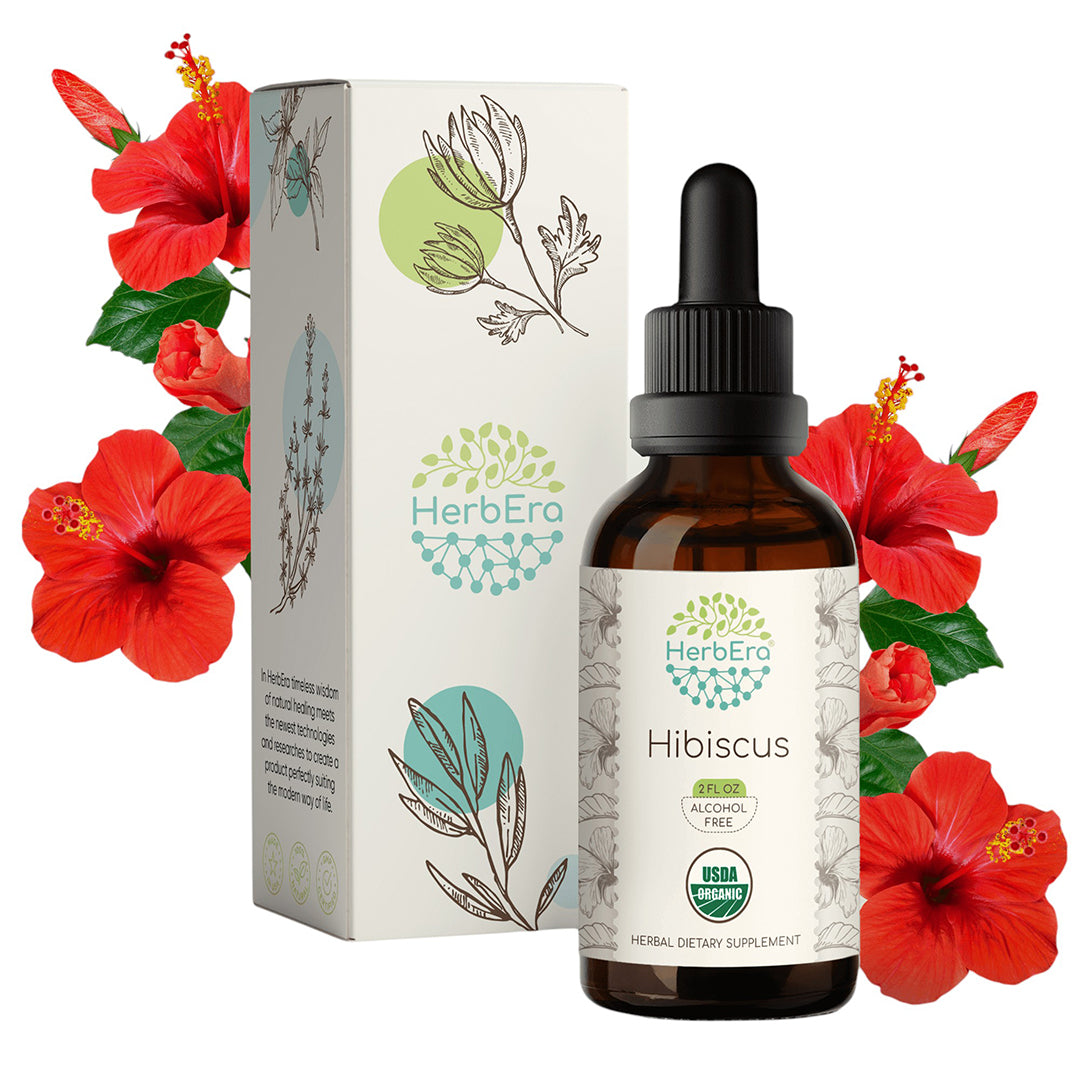 HerbEra | Hibiscus Herbal Extract Tincture | Organic | Alcohol-FREE | 60ml | Made in USA