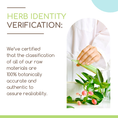 HerbEra | Hibiscus Herbal Extract Tincture | Organic | Alcohol-FREE | 60ml | Made in USA