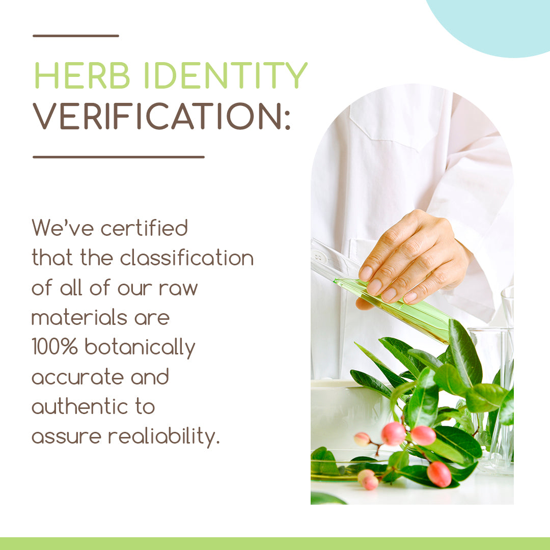 herbera | gotu kola herbal extract tincture | organic | alcohol-free | 60ml | made in usa