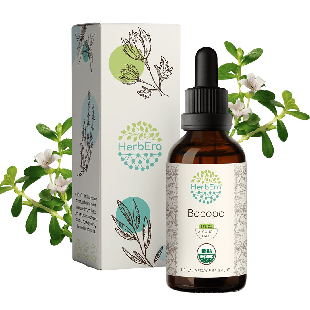 HerbEra | Bacopa Herbal Extract Tincture | 60ml | Organic | Alcohol Free | Made in USA