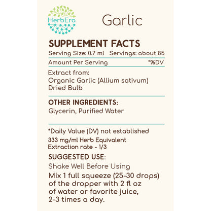HerbEra | Garlic Herbal Extract Tincture| 60ml | Organic | Alcohol Free | Made in USA