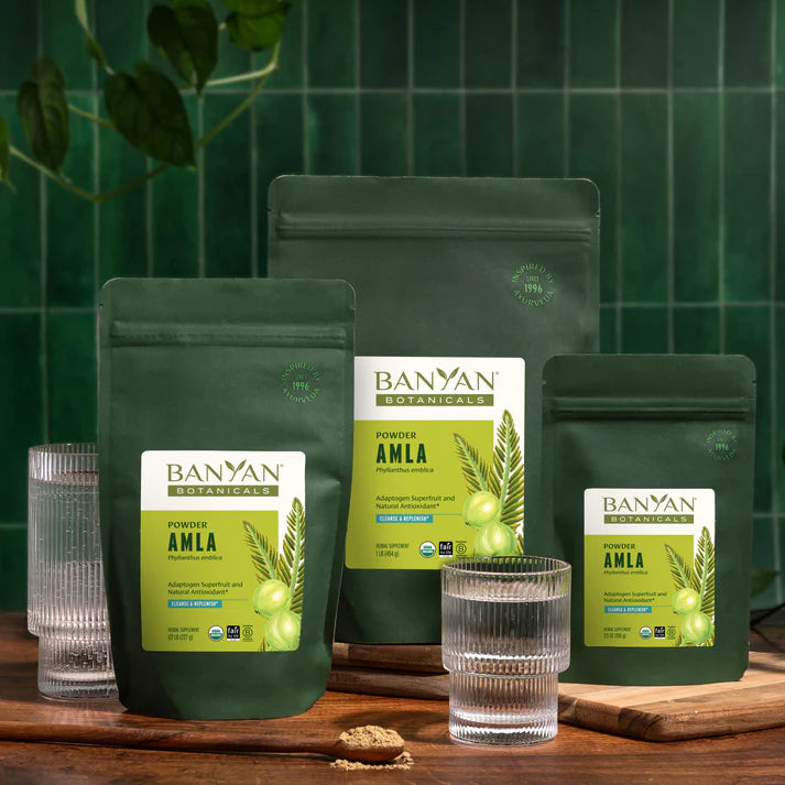 Amalaki powder - Certified Organic