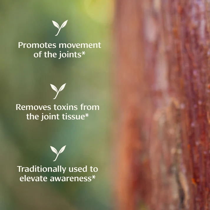 Boswellia powder - Certified Organic