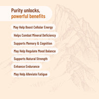 Evolution Botanicals | Himalayan Shilajit Resin | 30gm