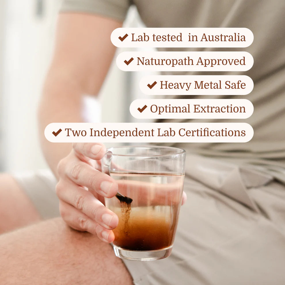 Evolution Botanicals | Himalayan Shilajit Resin | 30gm