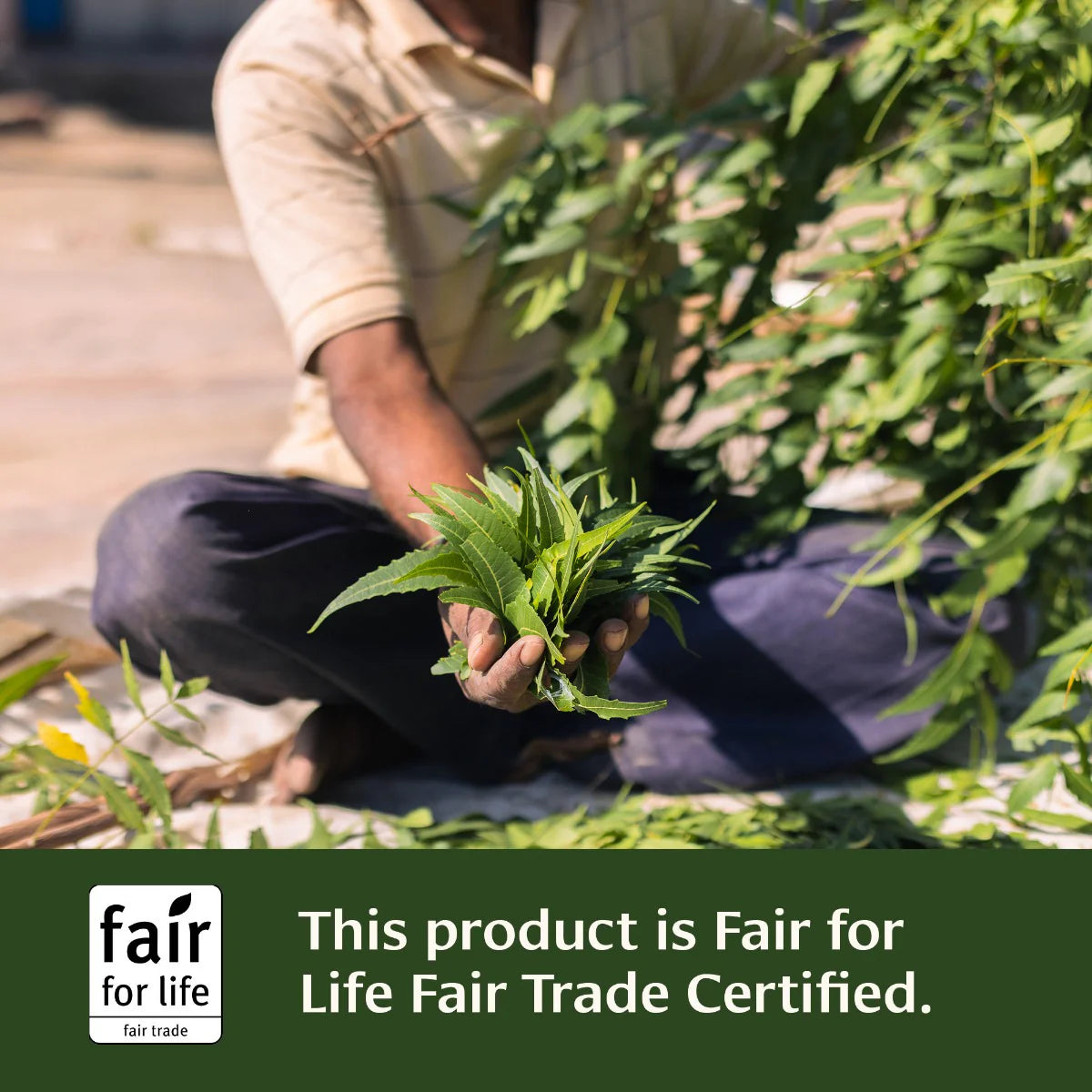 Neem Powder - Certified Organic