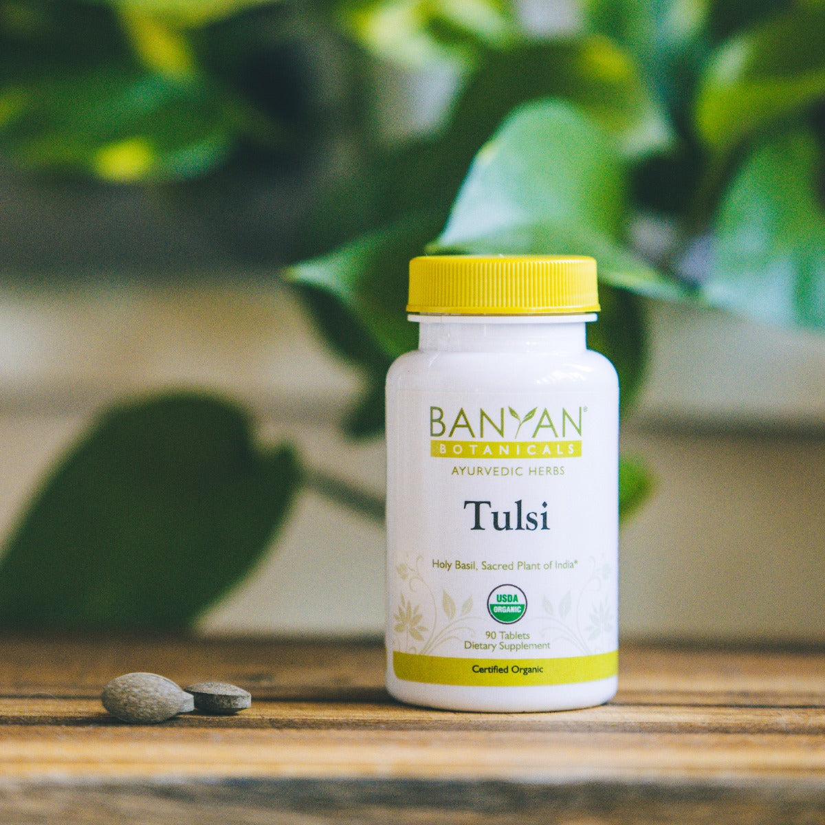 tulsi tablets - certified organic