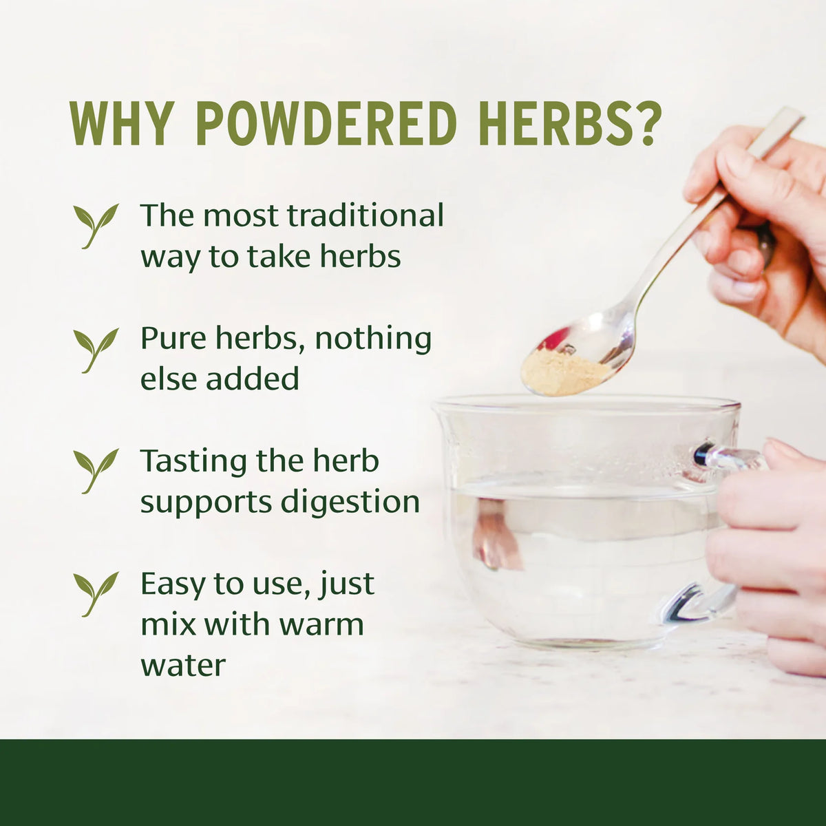 Moringa powder - Certified Organic