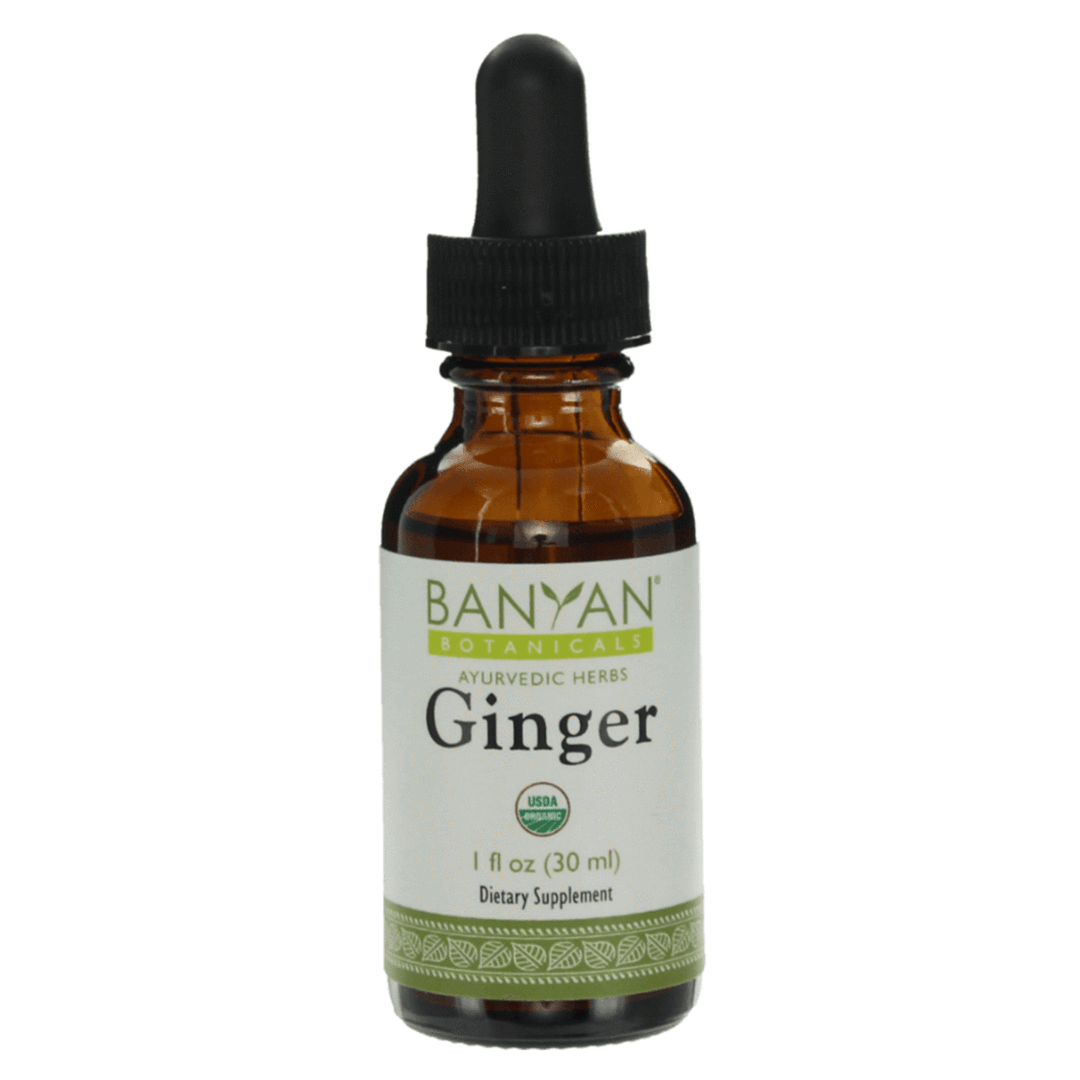 ginger liquid extract | certified organic | 30ml