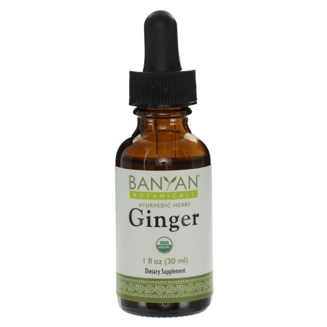 Ginger liquid extract | Certified Organic | 30ml