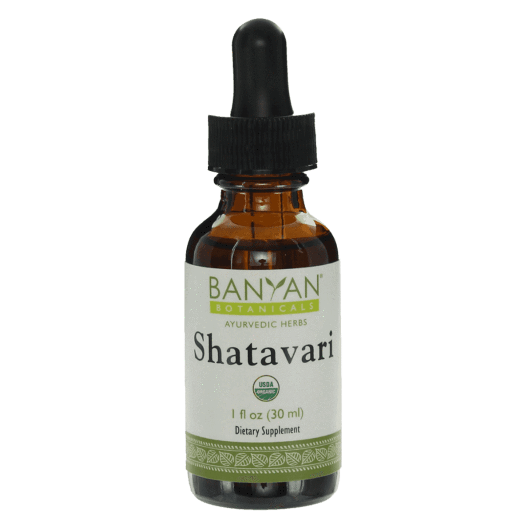 shatavari liquid extract - certified organic