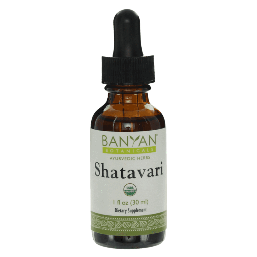 Shatavari liquid extract - Certified Organic