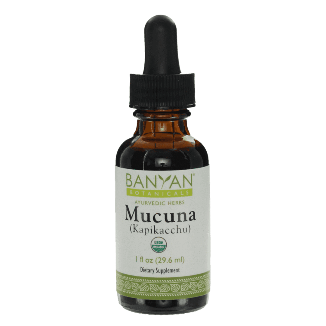mucuna (kapikacchu) liquid extract - certified organic