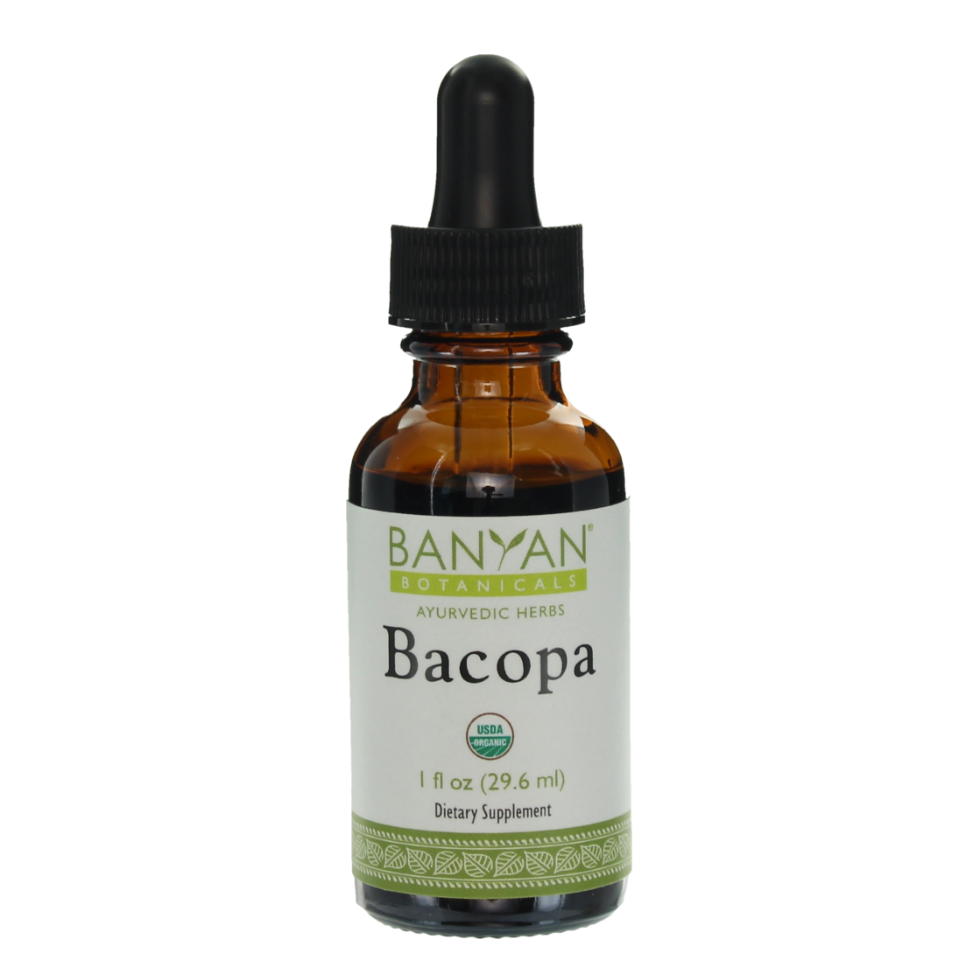 bacopa liquid extract | certified organic | 30ml