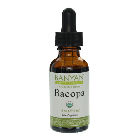 Bacopa Liquid Extract | Certified Organic | 30ml
