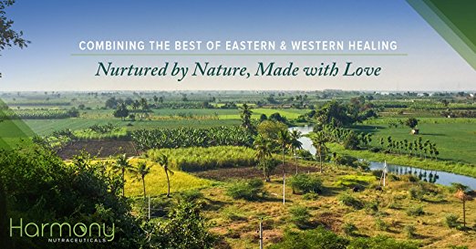 Shilajit  Capsules | 120 Vegetarian Capsules | Made in USA