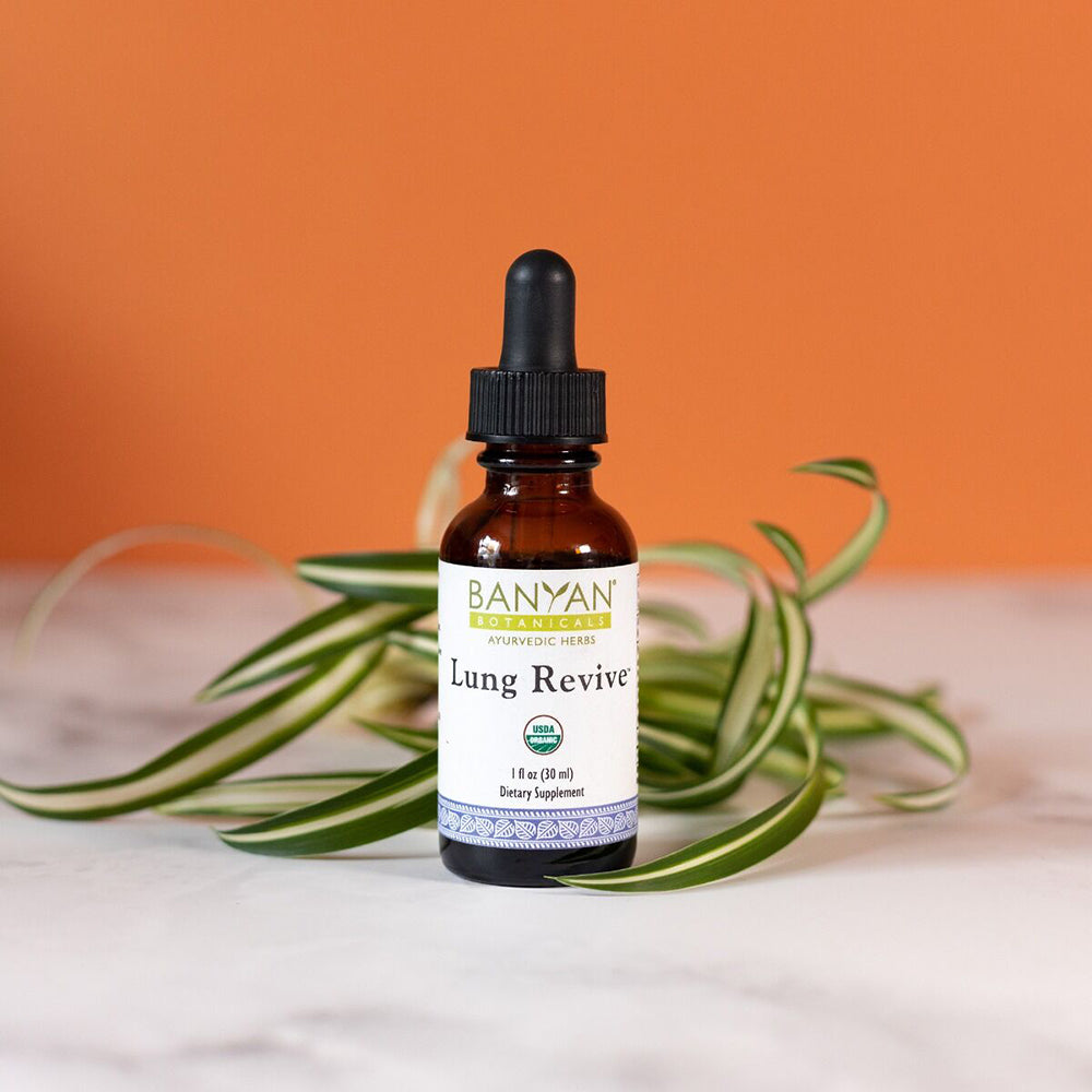 Lung Revive liquid extract