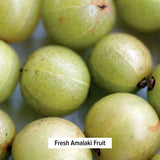 Amalaki tablets - Certified Organic
